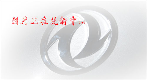 谈球吧咋样專汽在一帶一路國家戰略中獲得新機遇